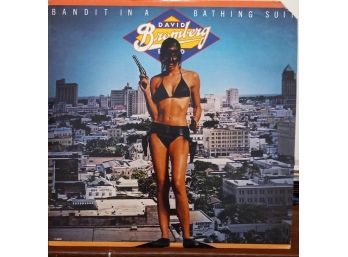 DAVID BROMBERG BAND/BANDIT IN A BATHING SUIT 1978 FANTACY RECORDS