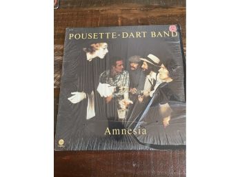 Vintage Pousette-Dart Band Album