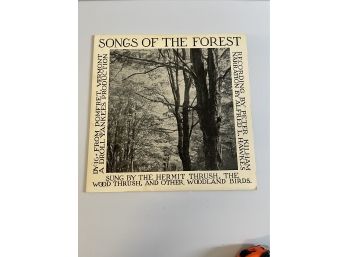 'Songs Of The Forest' Album