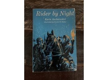 Rider By Night By Karin Anckarsvard