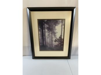 Vintage Forest Print