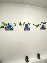 Set Of 3 Blue Rose Drops Canvas Wall Art Quality Matte Canvas