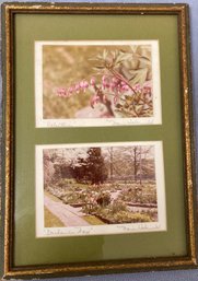Lot Of Framed Photos Signed By Marie Haernictzel 4 X 6 And 12 X 8
