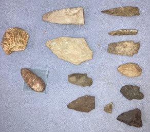 Assortment Of Archaic Arrowheads And Fossils