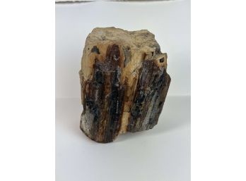 Large Petrified Wood Stump 10' H - 22 Bc
