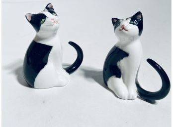 Cat Shakers