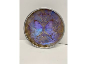 Butterfly Wings Decorative Plate