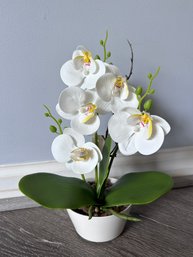 Faux Orchid In Pot