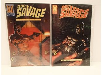 Lot Of 'doc Savage' Comic Books