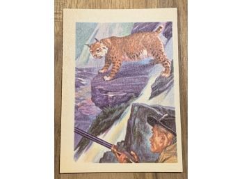 VINTAGE 1956 ADVENTURE CARDS-SHY, BEAUTIFUL AND WILD