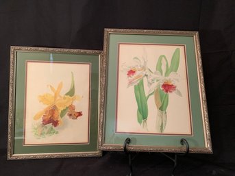 Carleys Orchid Vintage Botanical Prints