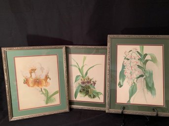 Three Orchid Prints