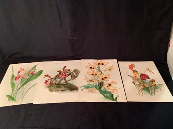 Unframed Orchid Prints