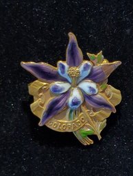 Vintage Gold And Enamel Colorado Pin With Columbine  - Stamped 'p.d.''