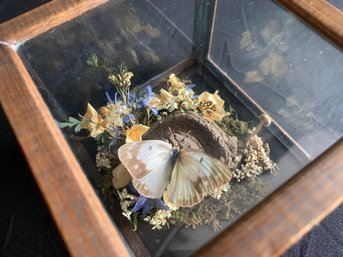 Vintage Trapped Glass Scene Butterfly With Dried Flowers