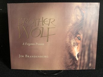 Brother Wolf A Forgotten Promise By Jim Brandenburg