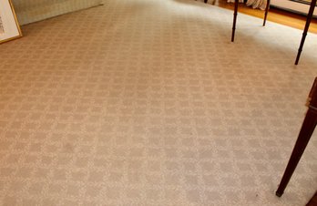 Large, Room Size, Soft Wool, Trellis Pattern Carpet