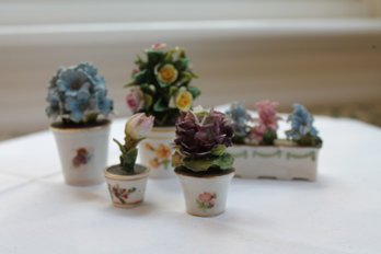 Miniature Porcelain Garden