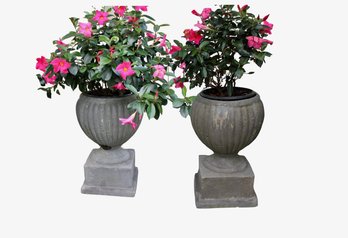 Pair Pedestal Planters