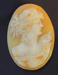 Incredible Hand Carved Cameo On Loose Shell Beautiful Piece