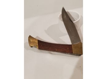 Buck Knife Standard Brown Grip