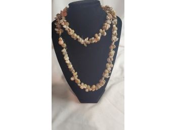 Long Trendy Shell Type Necklace