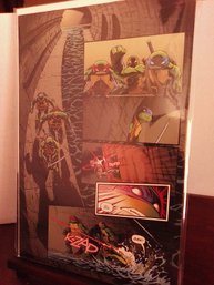 Ninja Turtles Comic Book