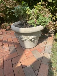 One Cement Planter With Fruit