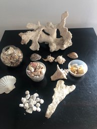 Large Collection Of Beach Finds