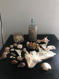 Beach Finds Including Vintage Bottle Full Of Sea Shells