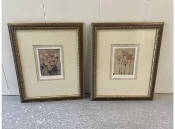 Pair Of Framed Botanical Prints 16 X 20 Each