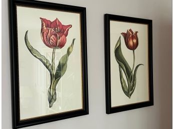 Pair Of Framed Flower Prints.  Frames Are Deep Black