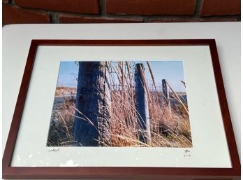 Framed Photograph Of A Fence And Grass