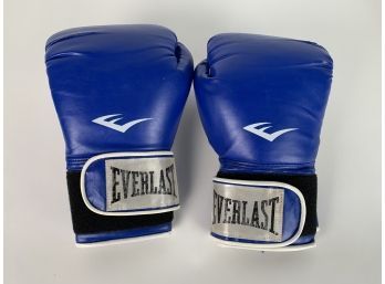 Blue Everlast Boxing Gloves