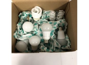 LED Bulb Bundle