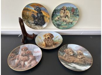 LR/ 5 Assorted Collector Plates Of Dogs Golden & Labrador Retrievers