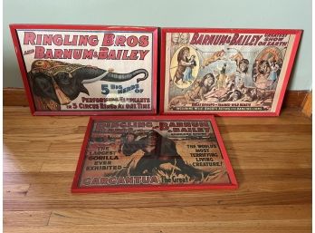 LR/ Trio Of Red Framed Circus Posters, 2 Ringling Brothers Barnum & Bailey, 1 Barnum & Bailey