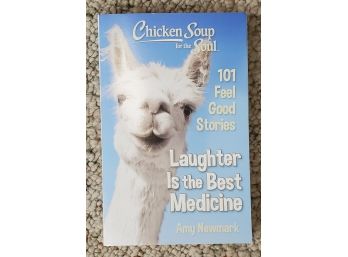 Chicken Soup - Laughter Is The Best Medicine