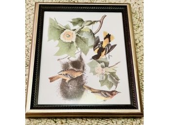 8 Bird & Floral Framed Prints