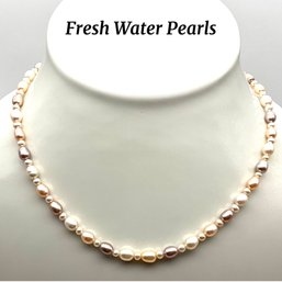 Lot 29- Authentic Freshwater Pearl Necklace