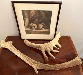 Lot 90 - Enigma - Behold What Remains Of A Wise Man Picture & Deer Antlers