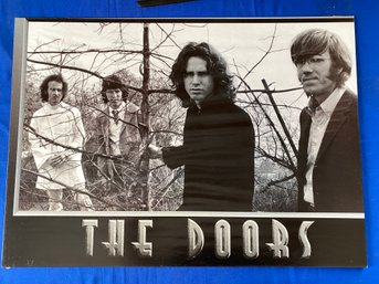 Lot 69 Vintage The Doors Poster - Music Band