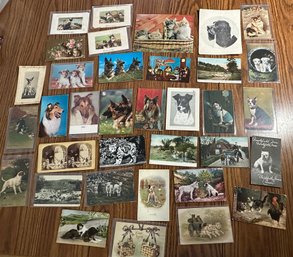 Lot 363 - Lot Of 35 Dogs - Cats And Other Animals Postcards Early 1900s Through 1970 Post Cards