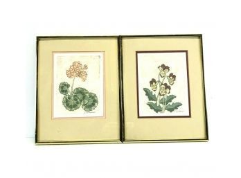Signed E. Thompson Floral Woodblock Prints - #AR2