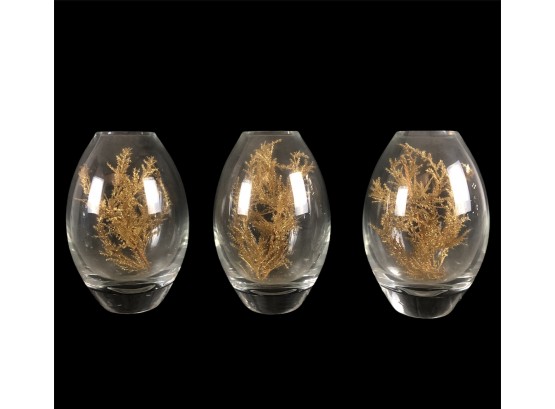 Set Of 3 Terrarium Vases - #BS