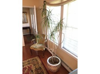 Yellow Fish Bowl Planter & Potted Plant - PICKUP SATURDAY ONLY IN WURTSBORO, NY