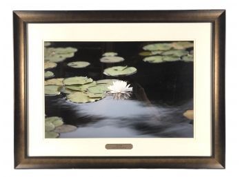 'Lily Pads Little Lake Teedyuskung' Framed Photograph - #W2
