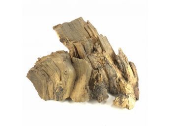 Natural Driftwood Accent Sculpture - #S3-4