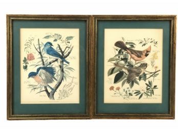 Framed Vintage Arthur Singer Bird Prints, Number 1 & 2 - #S3-4