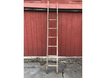 Apple Picking Ladder